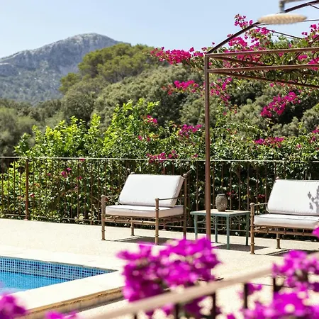 Летний дом La Coma *